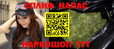шишки Кинель