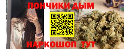 шишки Кинель