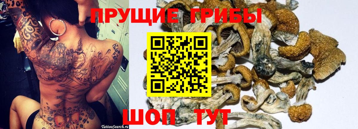 Галлюциногенные грибы мицелий Шумерля